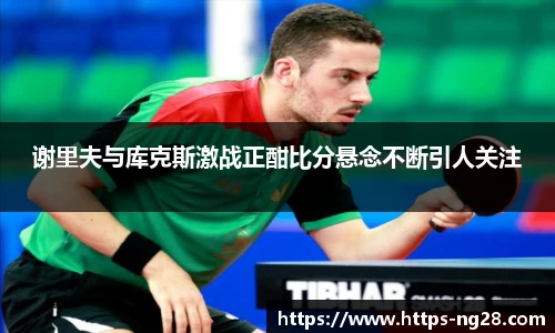 谢里夫与库克斯激战正酣比分悬念不断引人关注